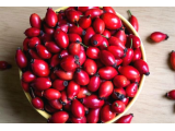 KUŞBURNU ORGANİK MEYVE ÇAY VE MARMELAT İÇİN KG: 500 TL